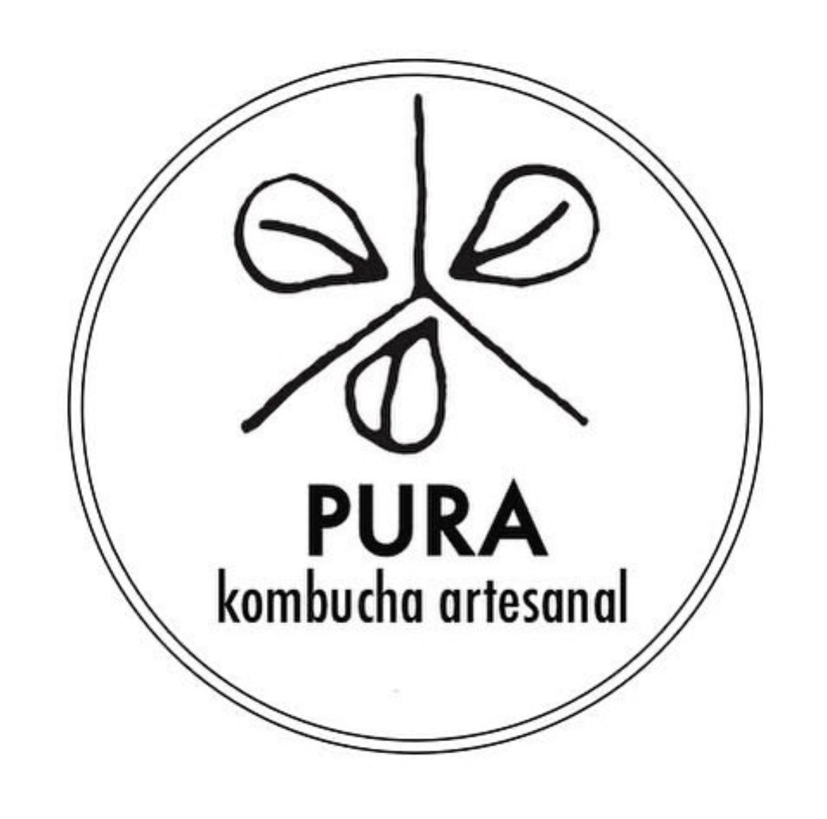 Limonada de Albahaca con Jengibre