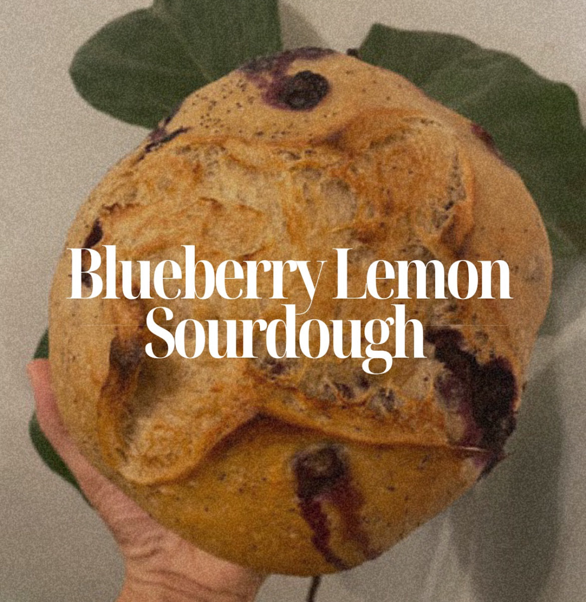 Blueberry Lemon Sourdough