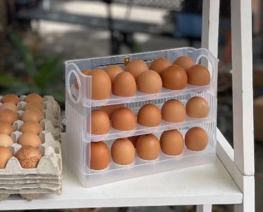 30 Egg Tray