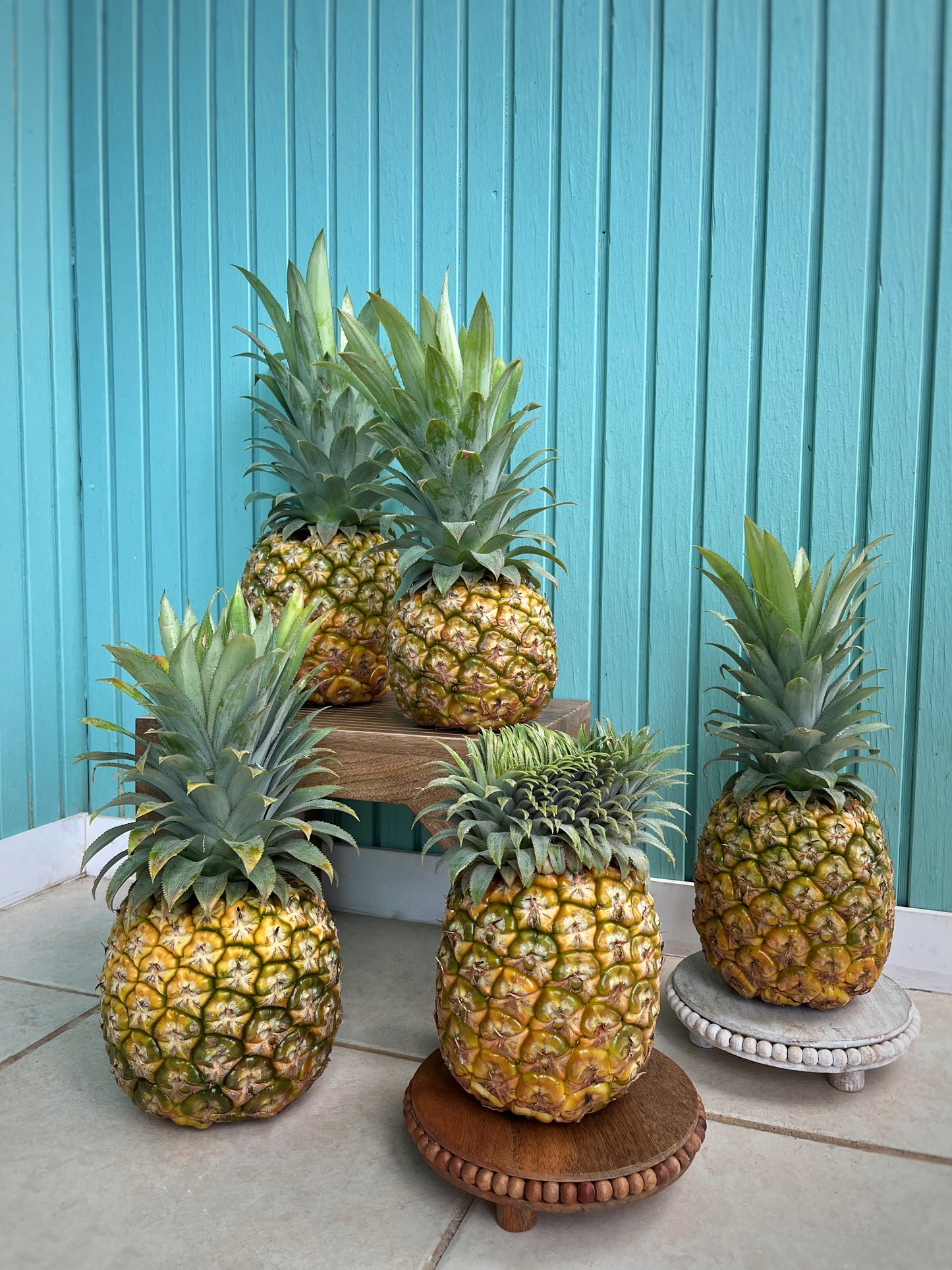 Piña | Variadas