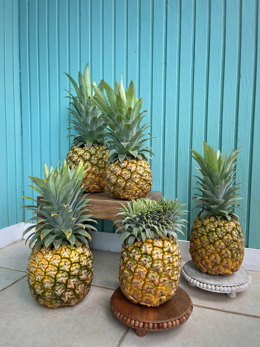 Piña | Variadas