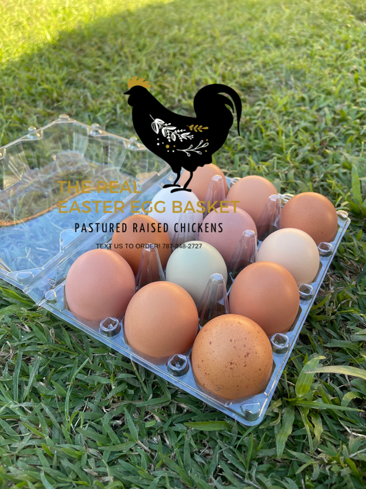 One (1) Dozen Fresh Eggs / Una (1) Docena Huevos del País • ONLY at Farmer’s Markets & our pick-up location at San Juan!