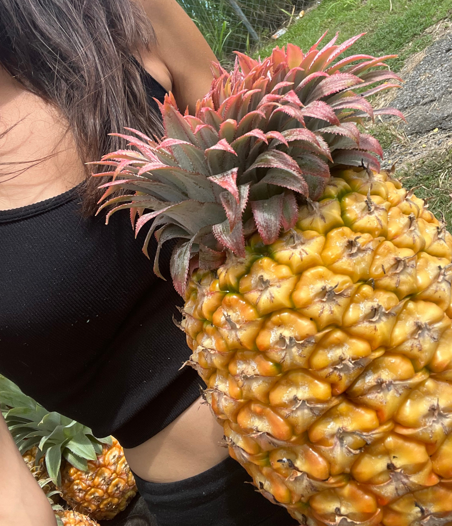 Piña | Variadas
