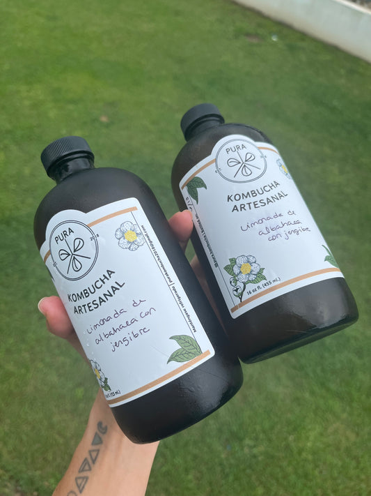 Limonada de Albahaca con Jengibre