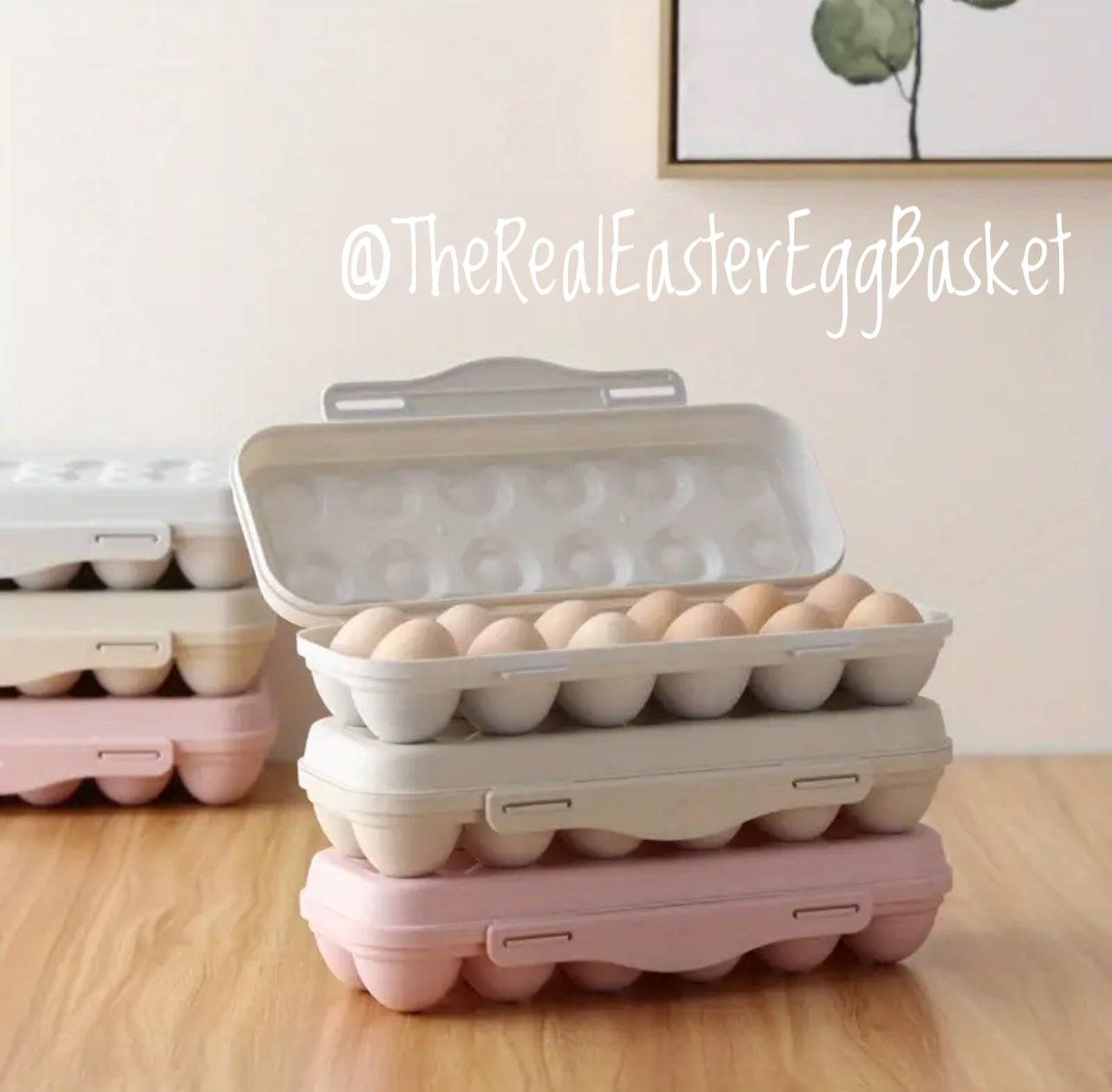 Egg Storage (Dozen) | Various colors!