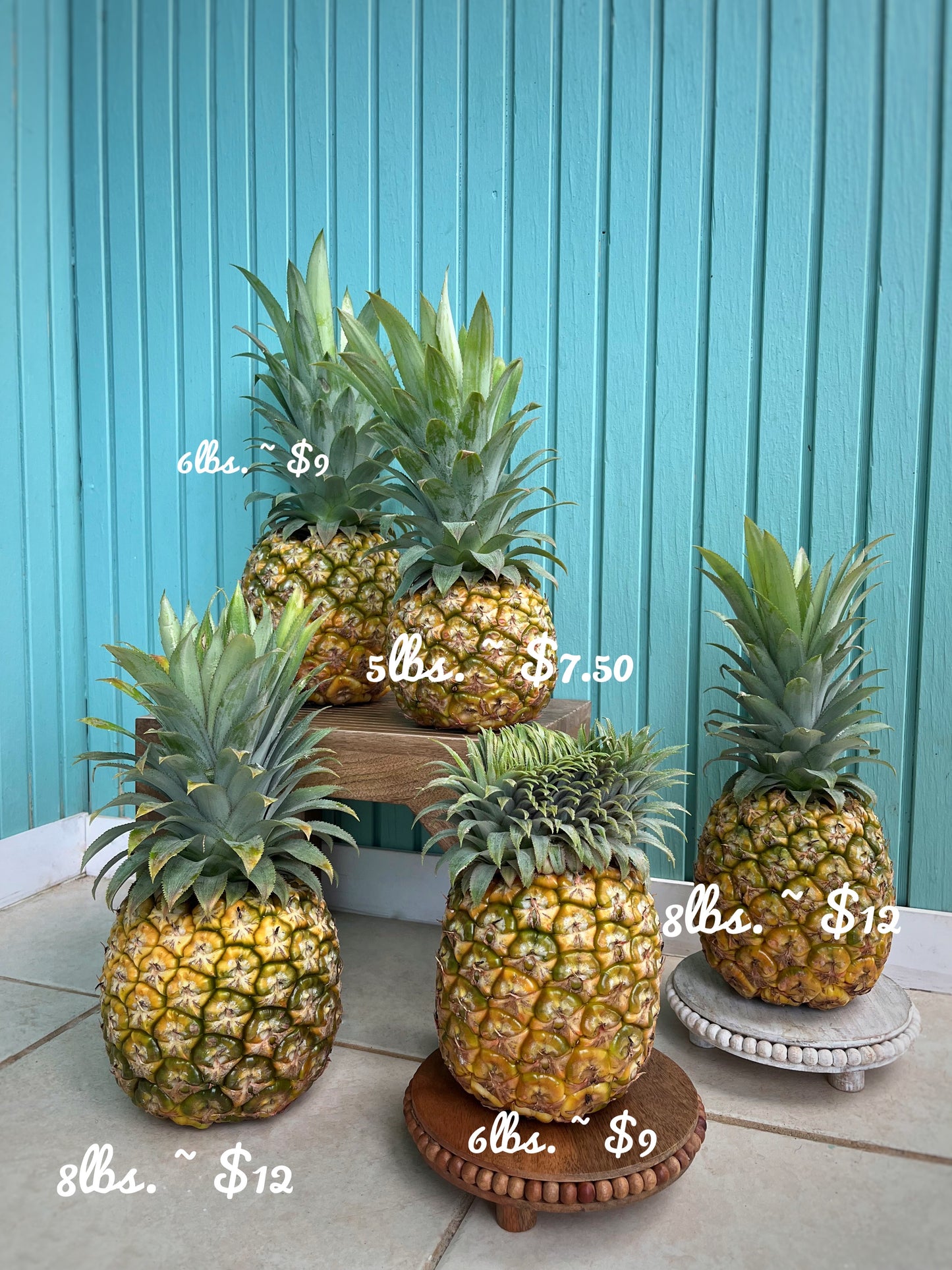 Piña | Variadas