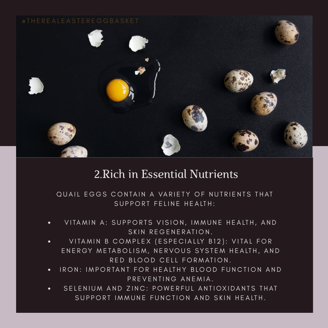 Huevos de Codorniz | Quail Eggs