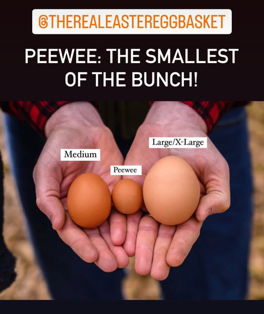 Peewee Eggs! 60 Egg Flat x $25 | Only for limited time