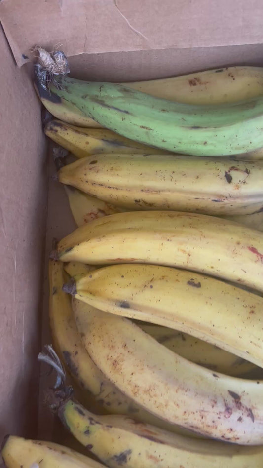 Guineos Maduros | Las Marias, Mayagüez P.R.